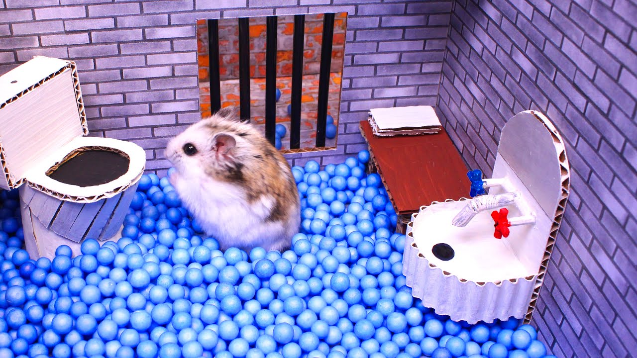 hamster escape