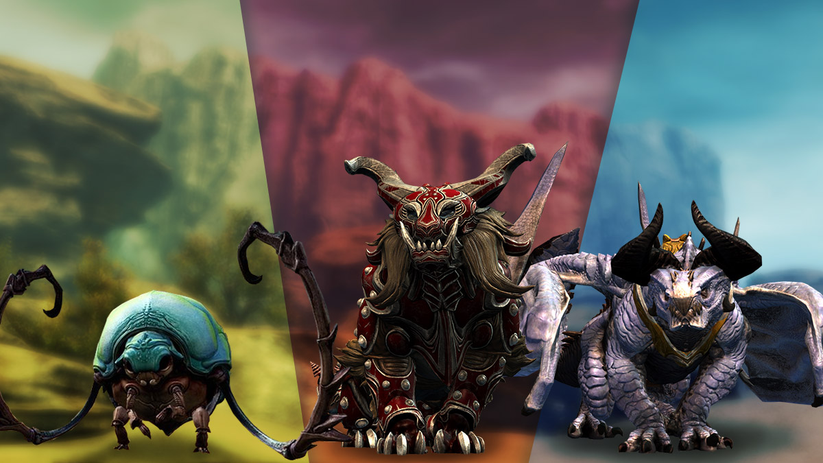 gw2 mounts