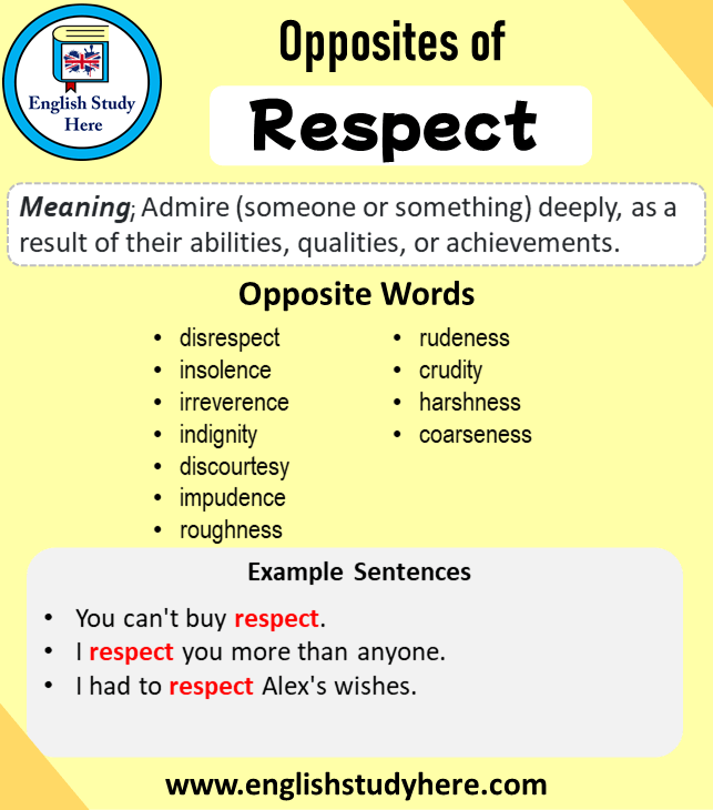 antonyms for respect