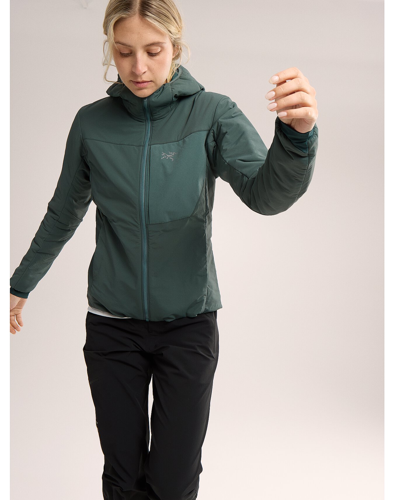 arcteryx proton hoody