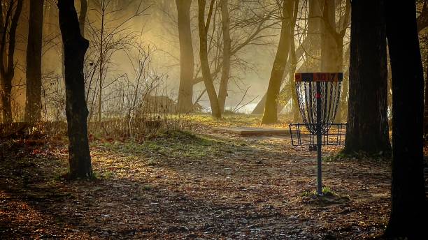 disc golf scene