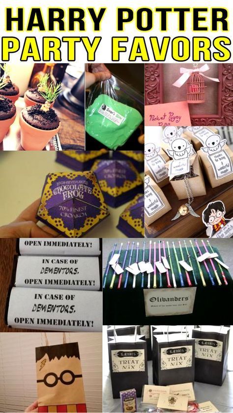 harry potter party favors