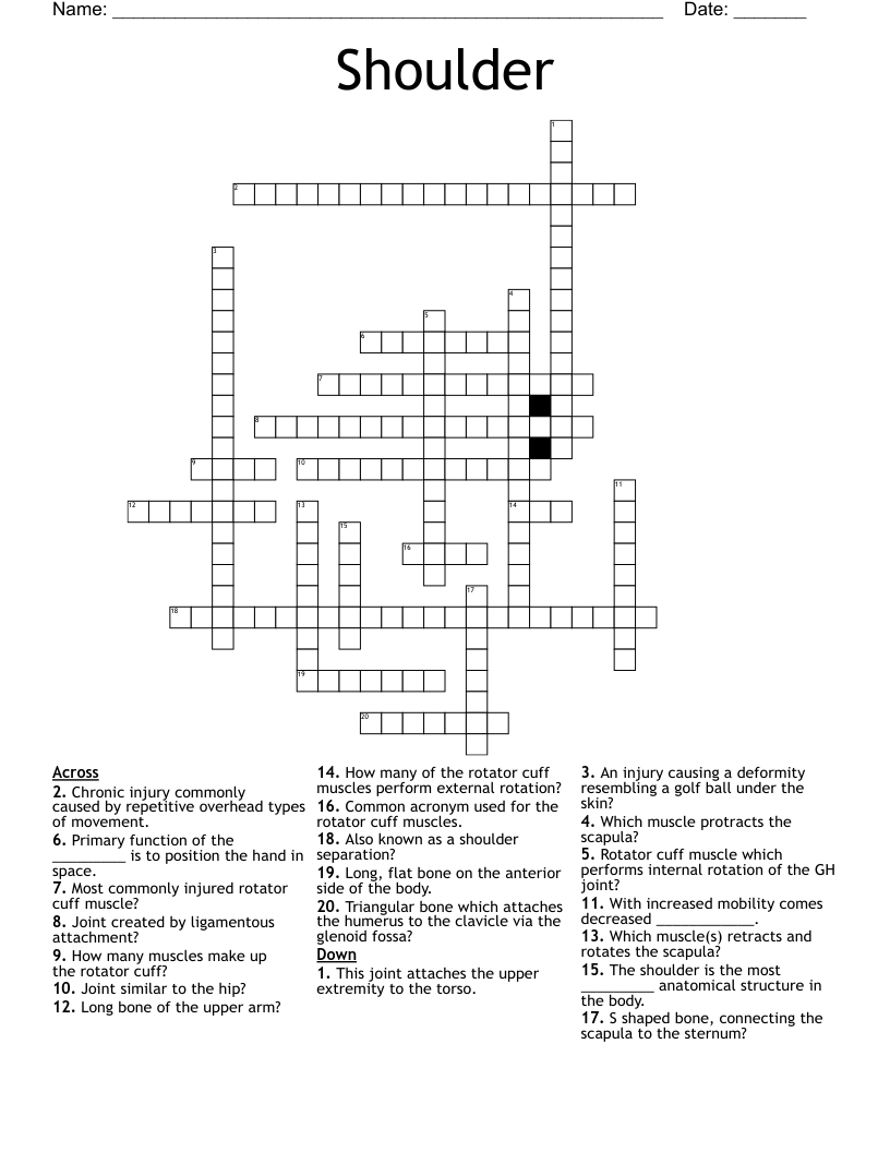 shoulder wrap crossword clue