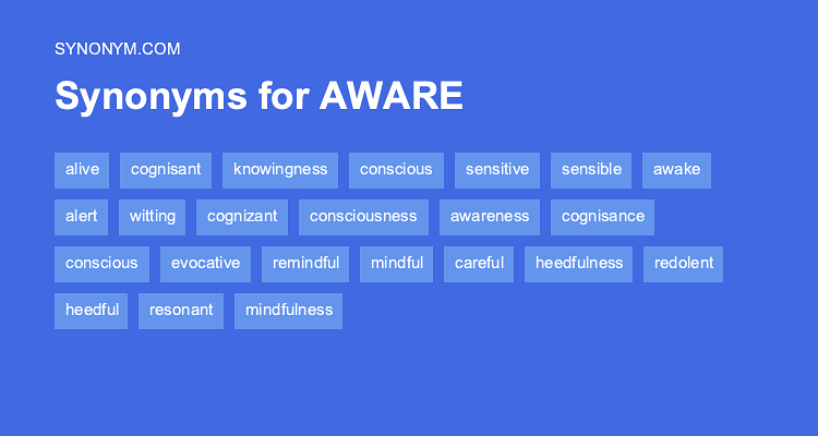 awareness of surroundings synonym