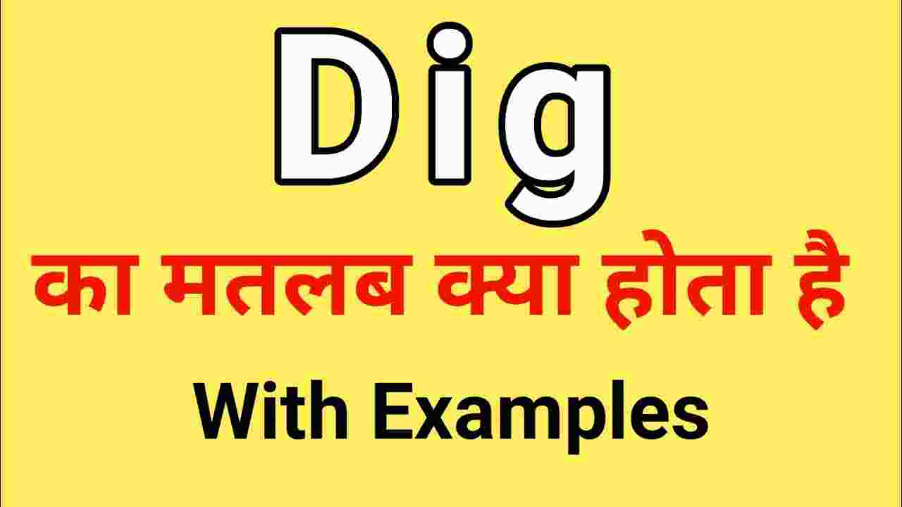 veiled dig meaning in hindi