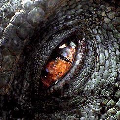 indominus rex eye