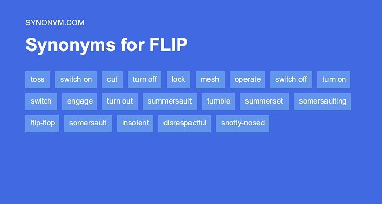 flip synonym
