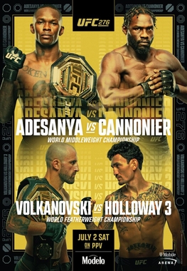 adesanya vs cannonier