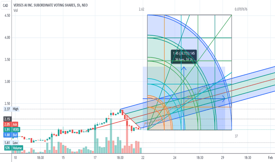 vers stock neo