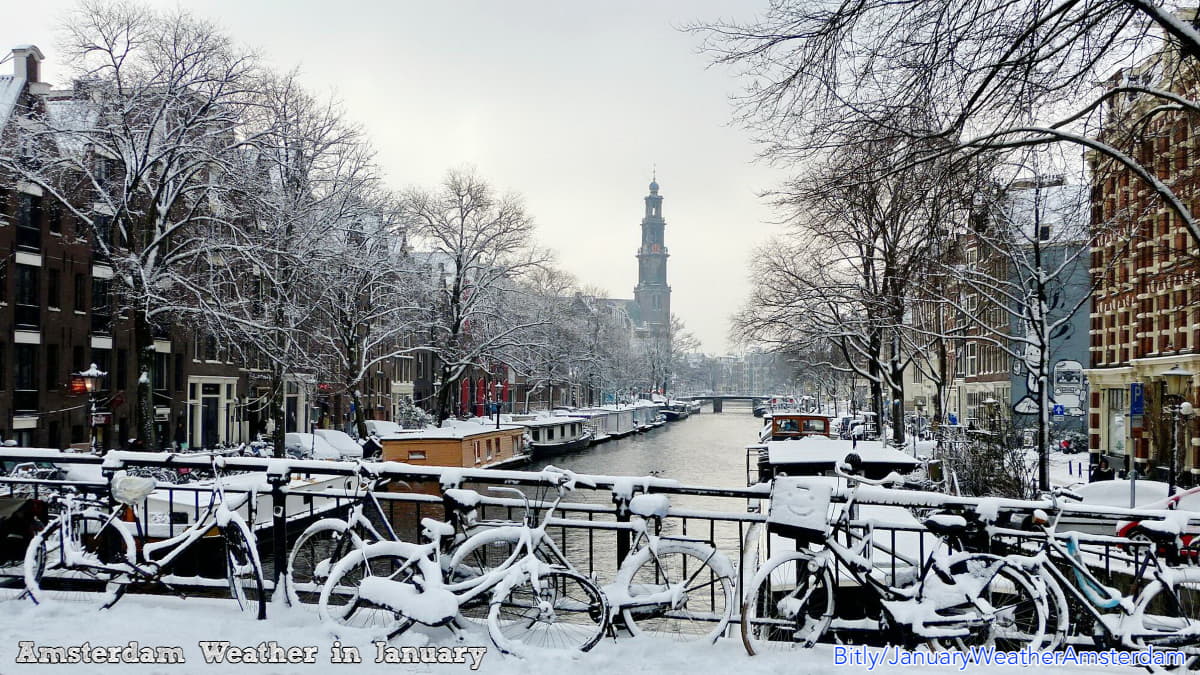 30 day weather forecast amsterdam