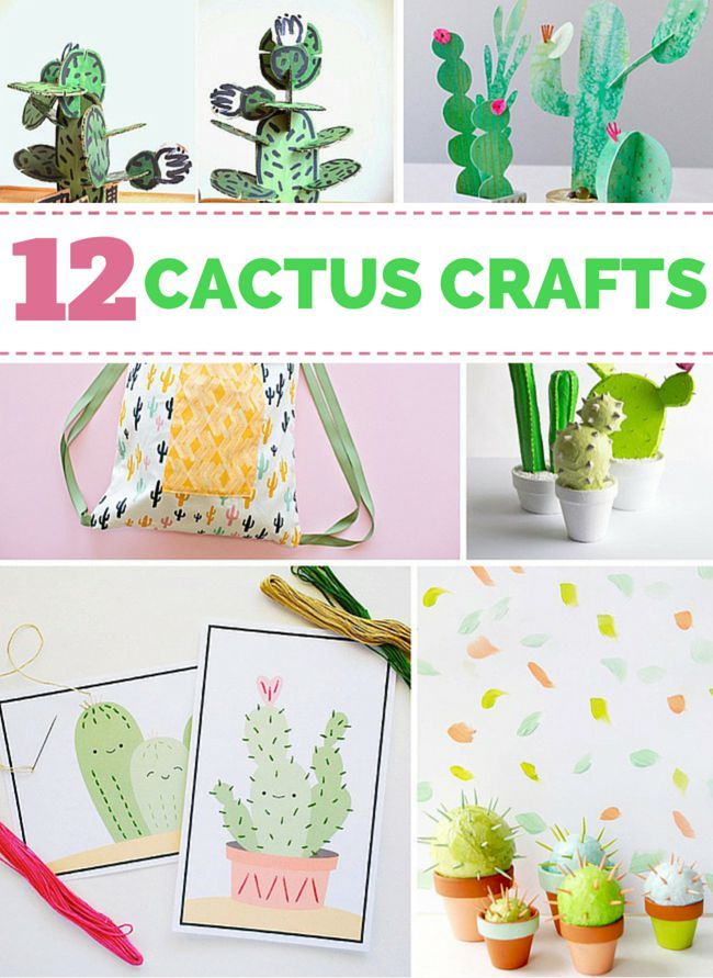 cactus diy ideas