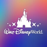 sales and solutions specialist disney