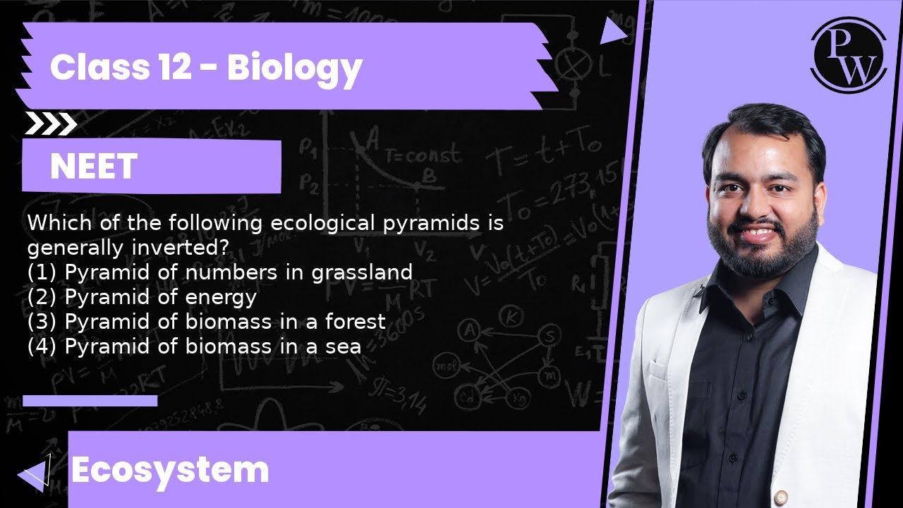 which of the following ecological pyramids is generally inverted