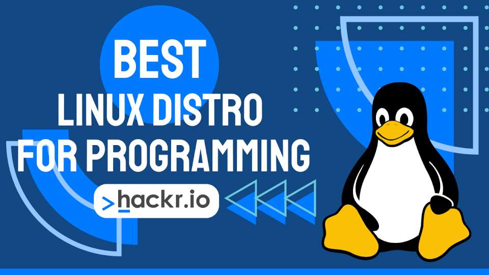 best linux for programming