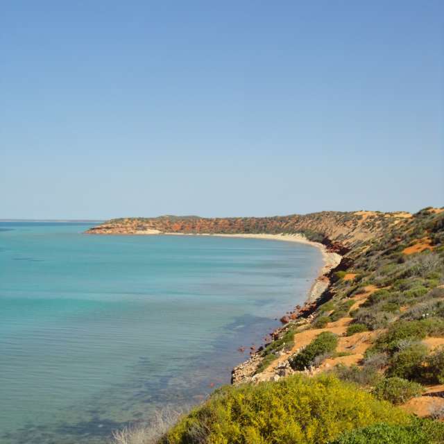 shark bay weather 14 day forecast