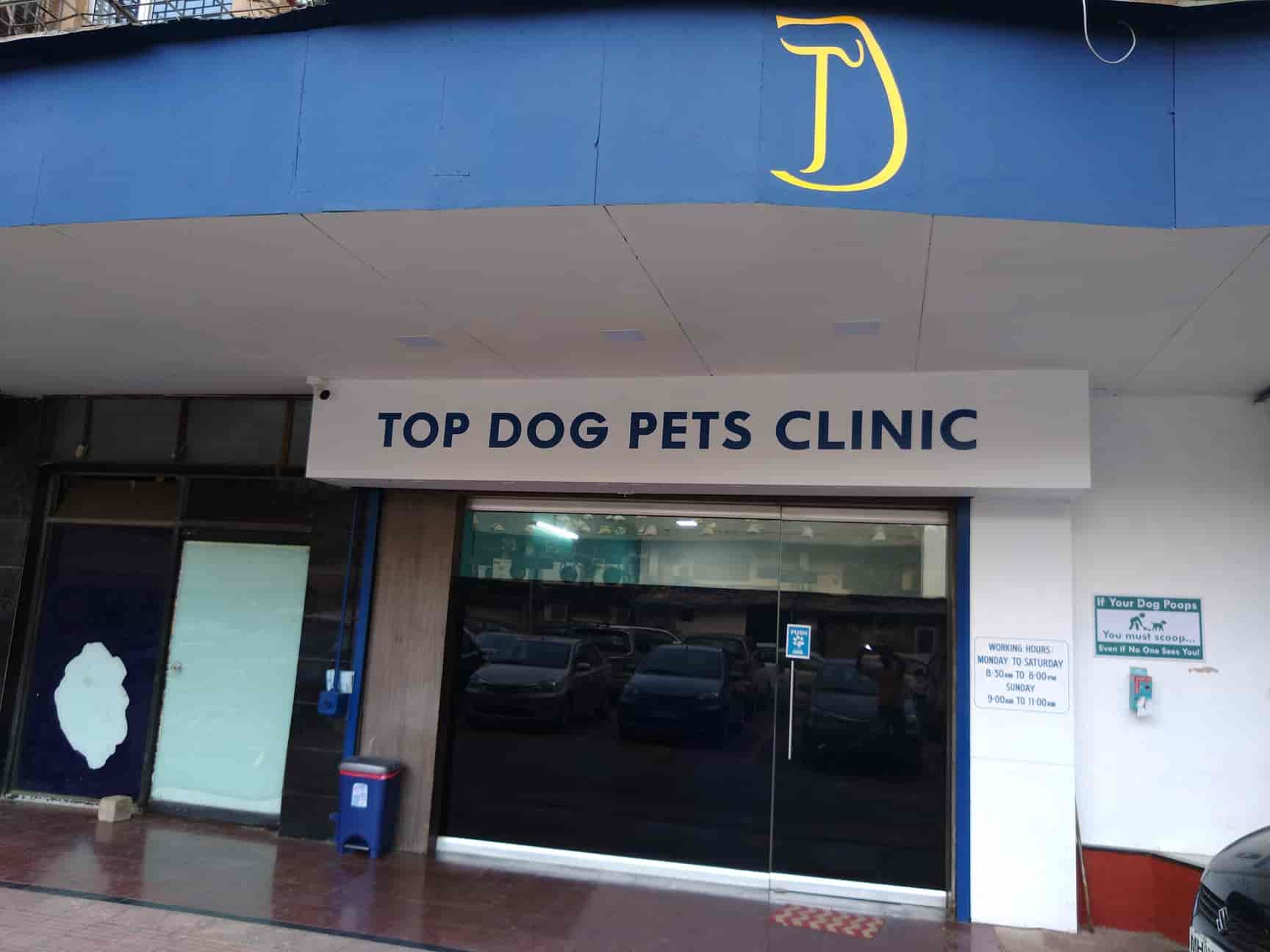 top dog pets clinic top dog healthcare pvt ltd