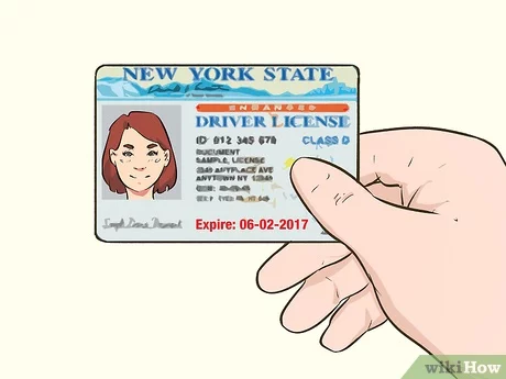 driving licence check by number