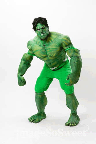 adult hulk outfit