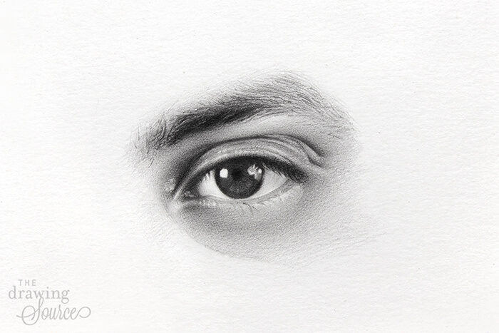 realistic eyebrow drawing