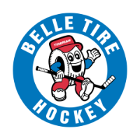 belle tire detroit mi