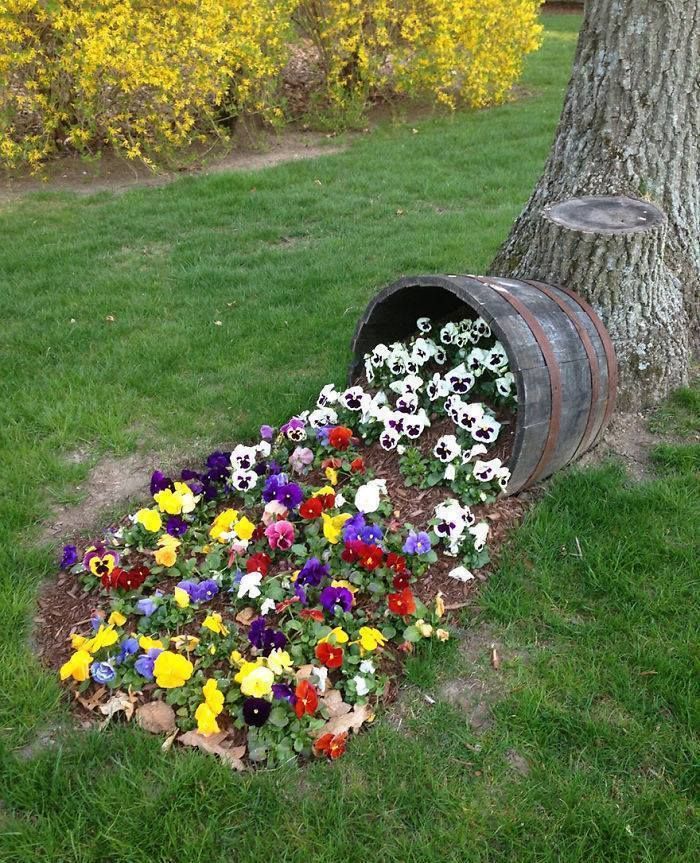 ideas for planting in whiskey barrels