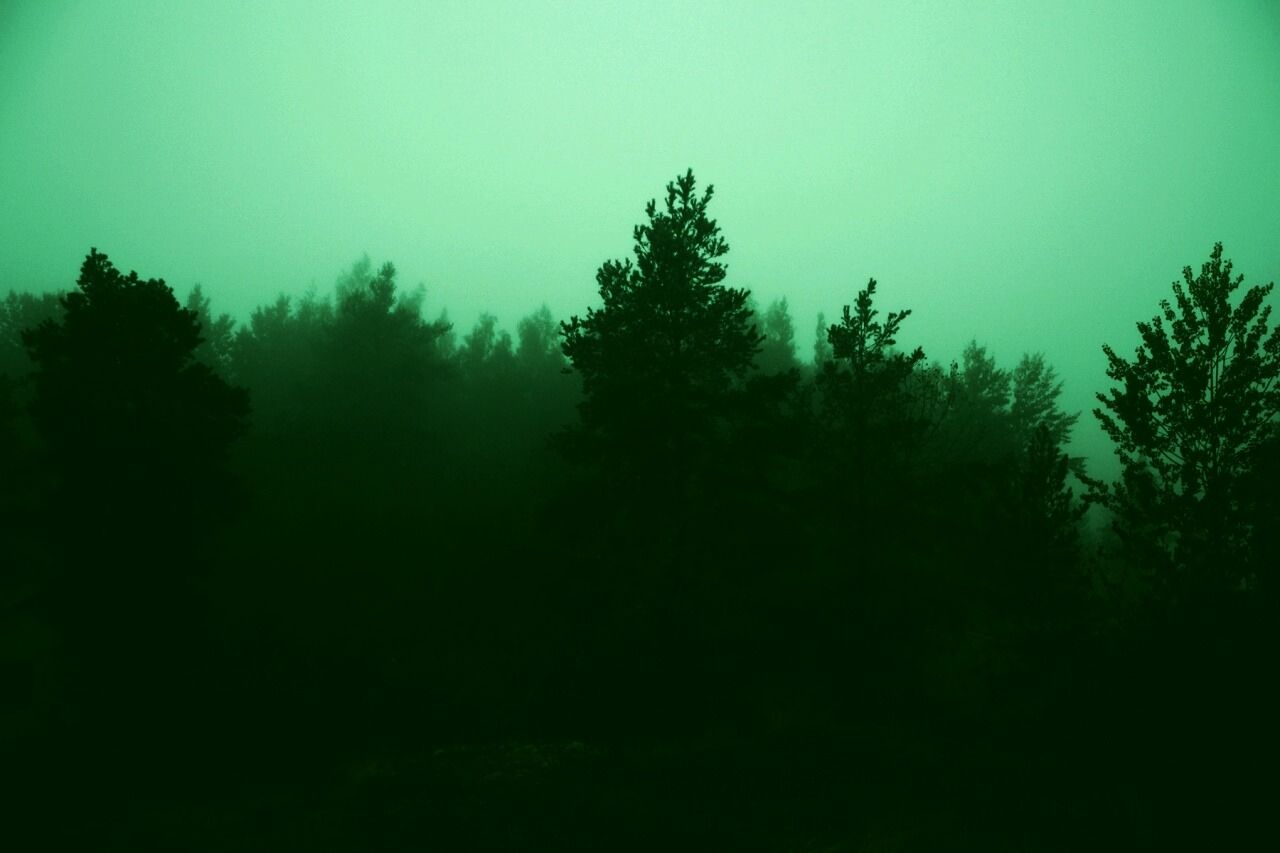 green aesthetic tumblr