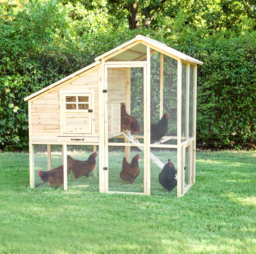 tractor supply chicken coop