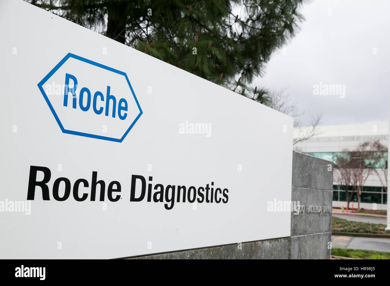 roche diagnostics stock