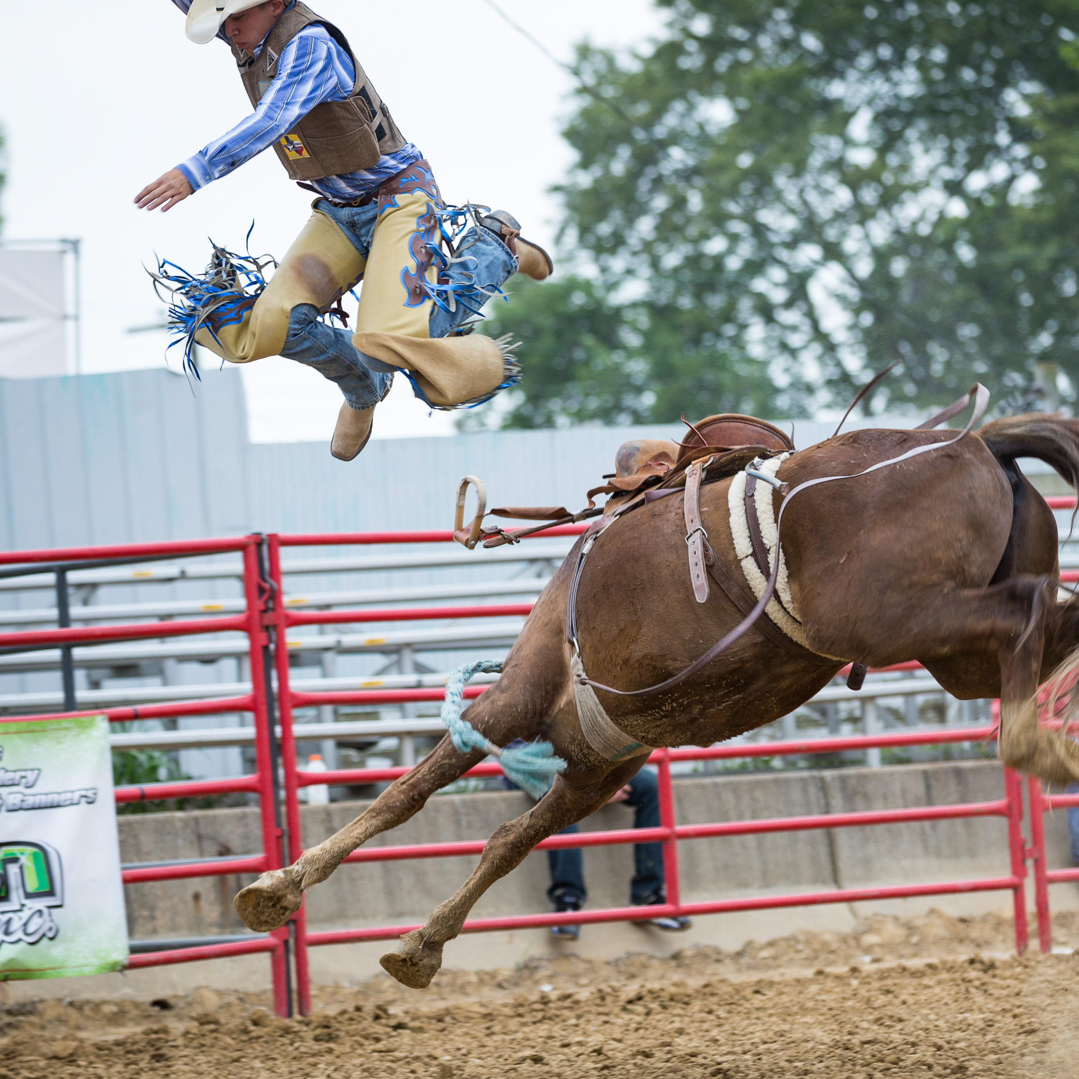 gateway grizzlies rodeo