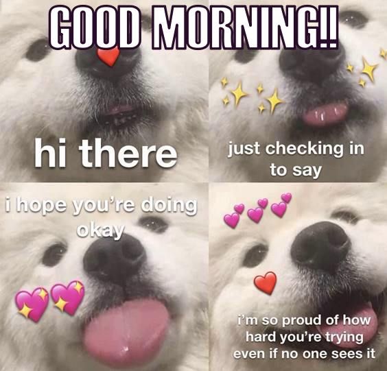 good morning cute memes