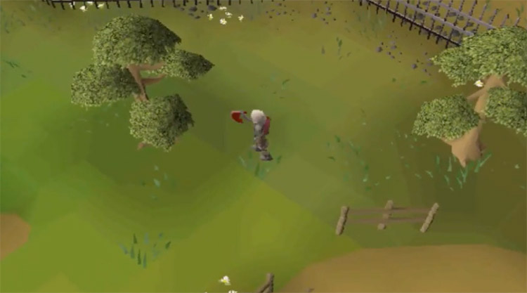 yew logs osrs