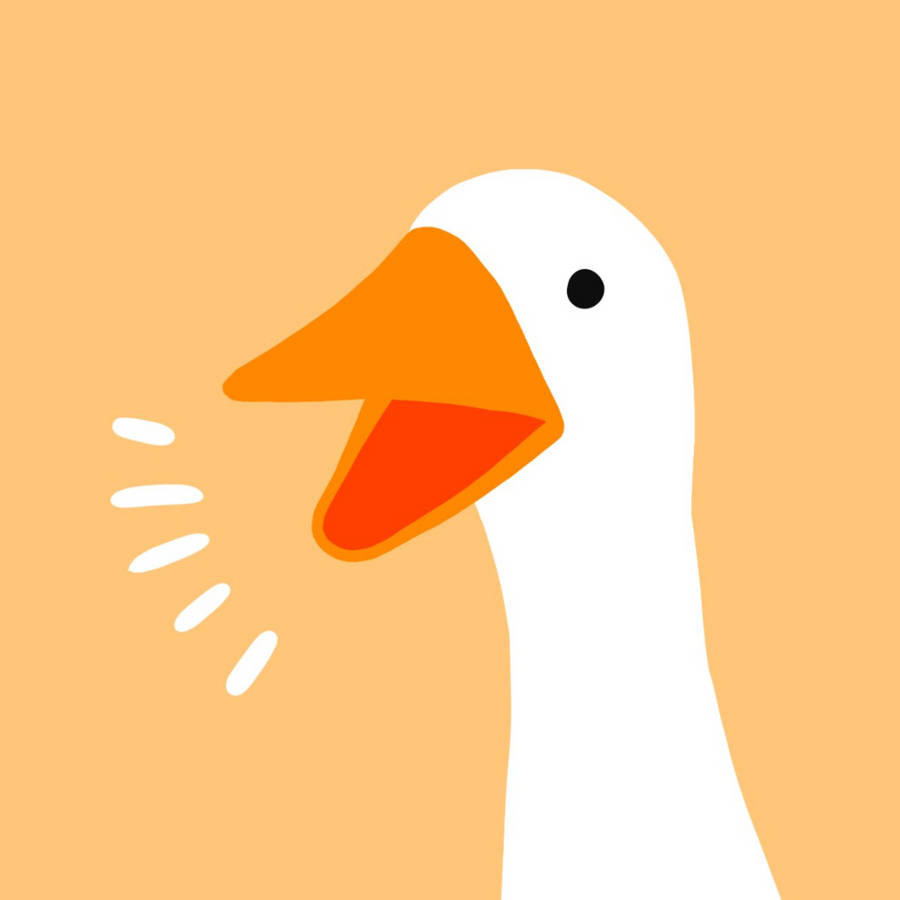 duck pfp