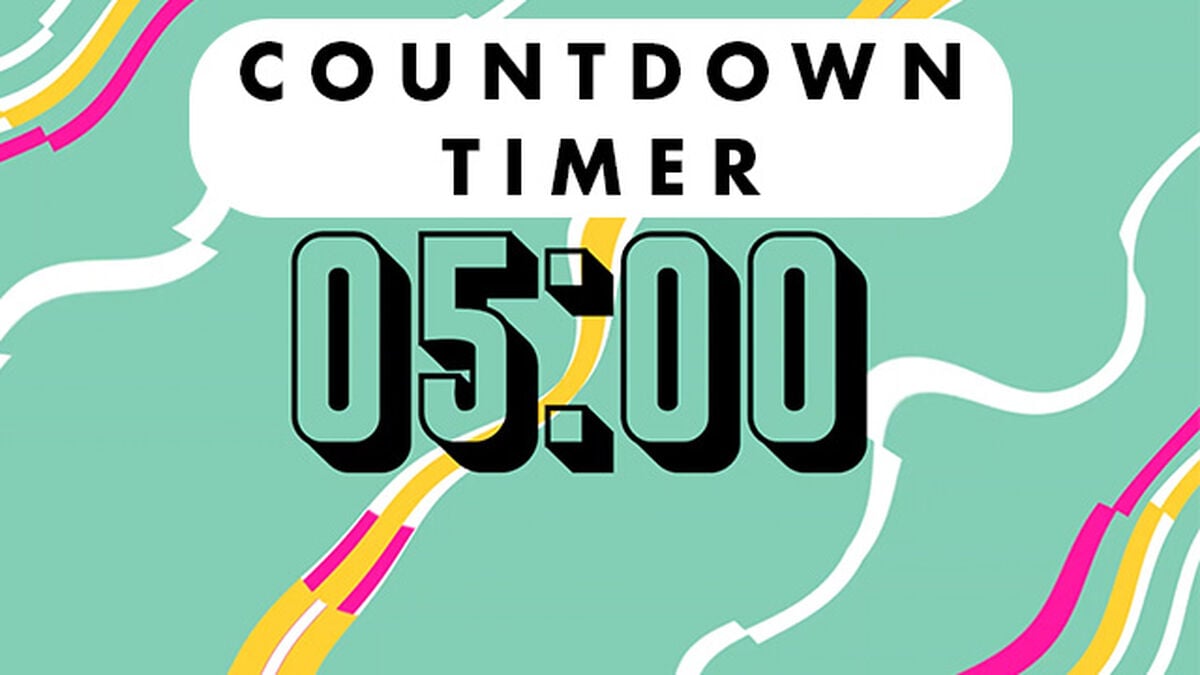 5 minute timer countdown