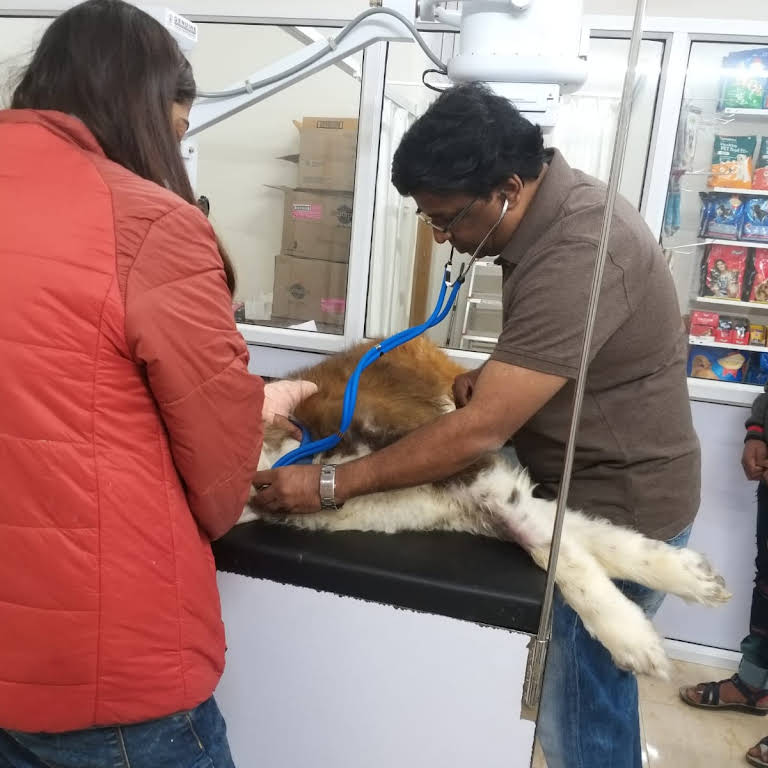 om veterinary hospital