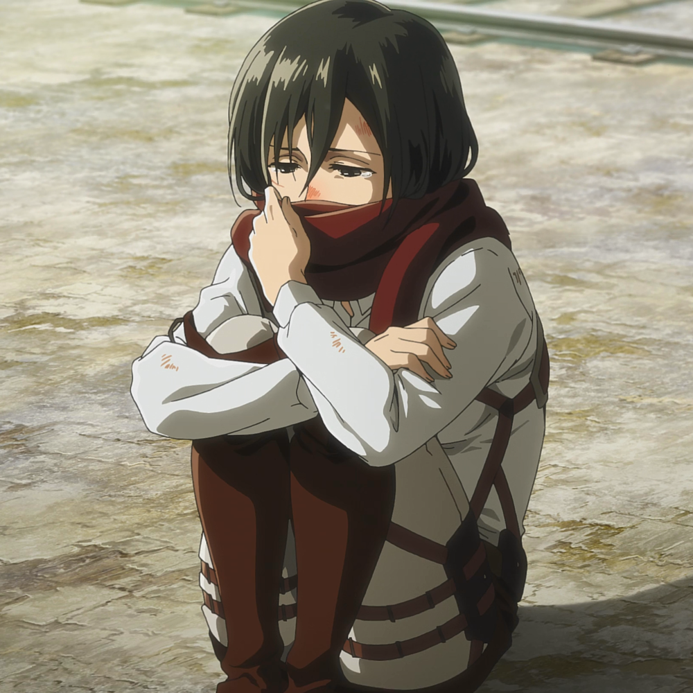 mikasa pfp