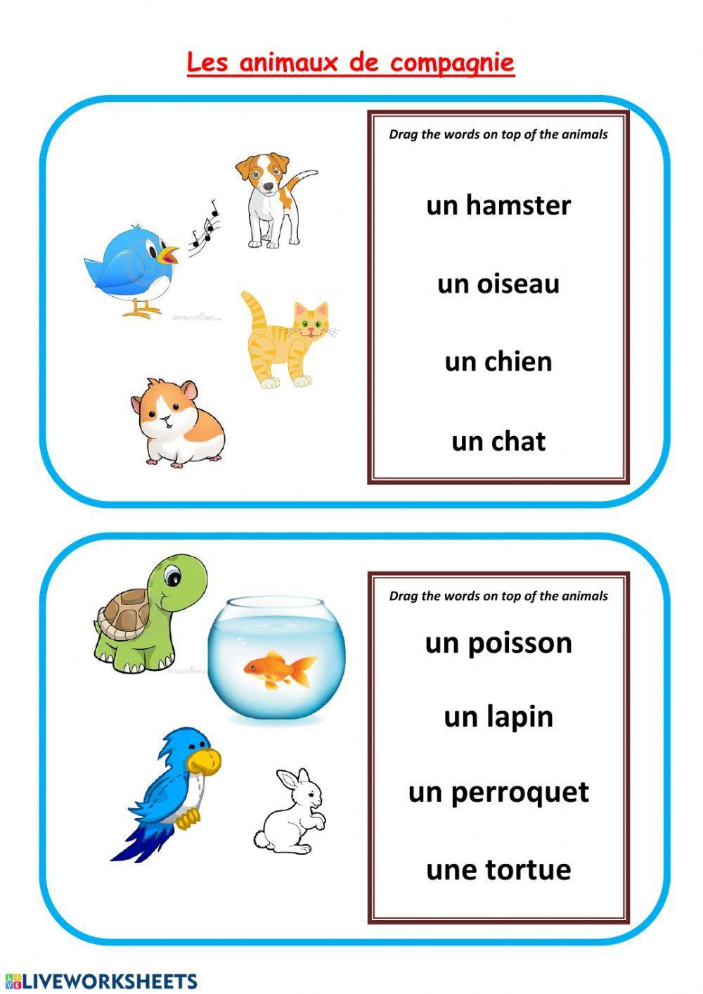live worksheets french