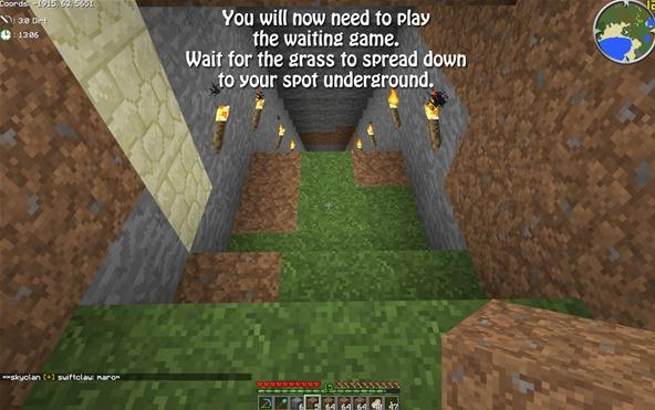 how do you get grass to grow in minecraft