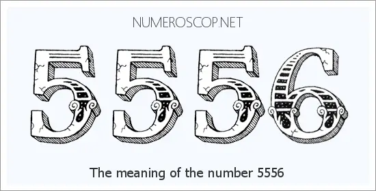 5556 angel number