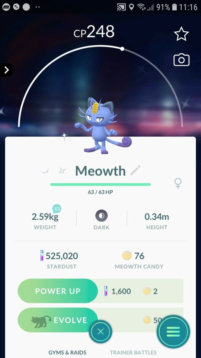 alolan meowth pokemon go