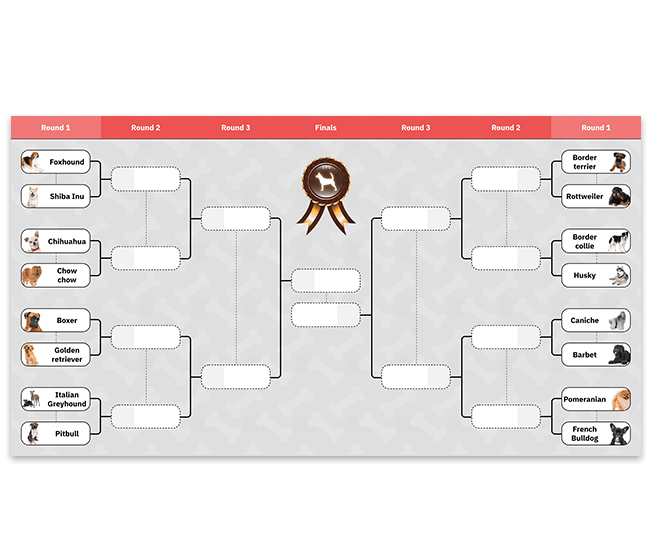 tournament chart maker