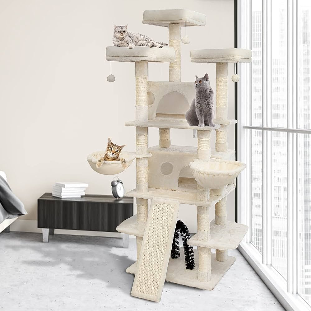 big cat condo