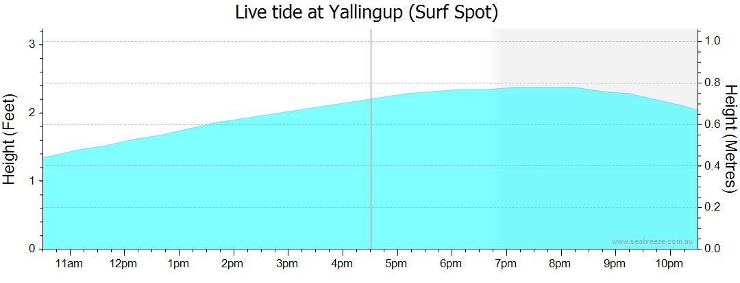 yallingup surf report