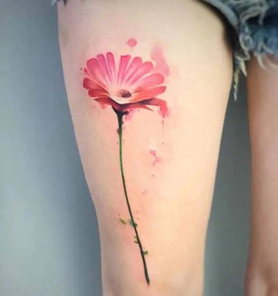 gerbera daisy tattoos