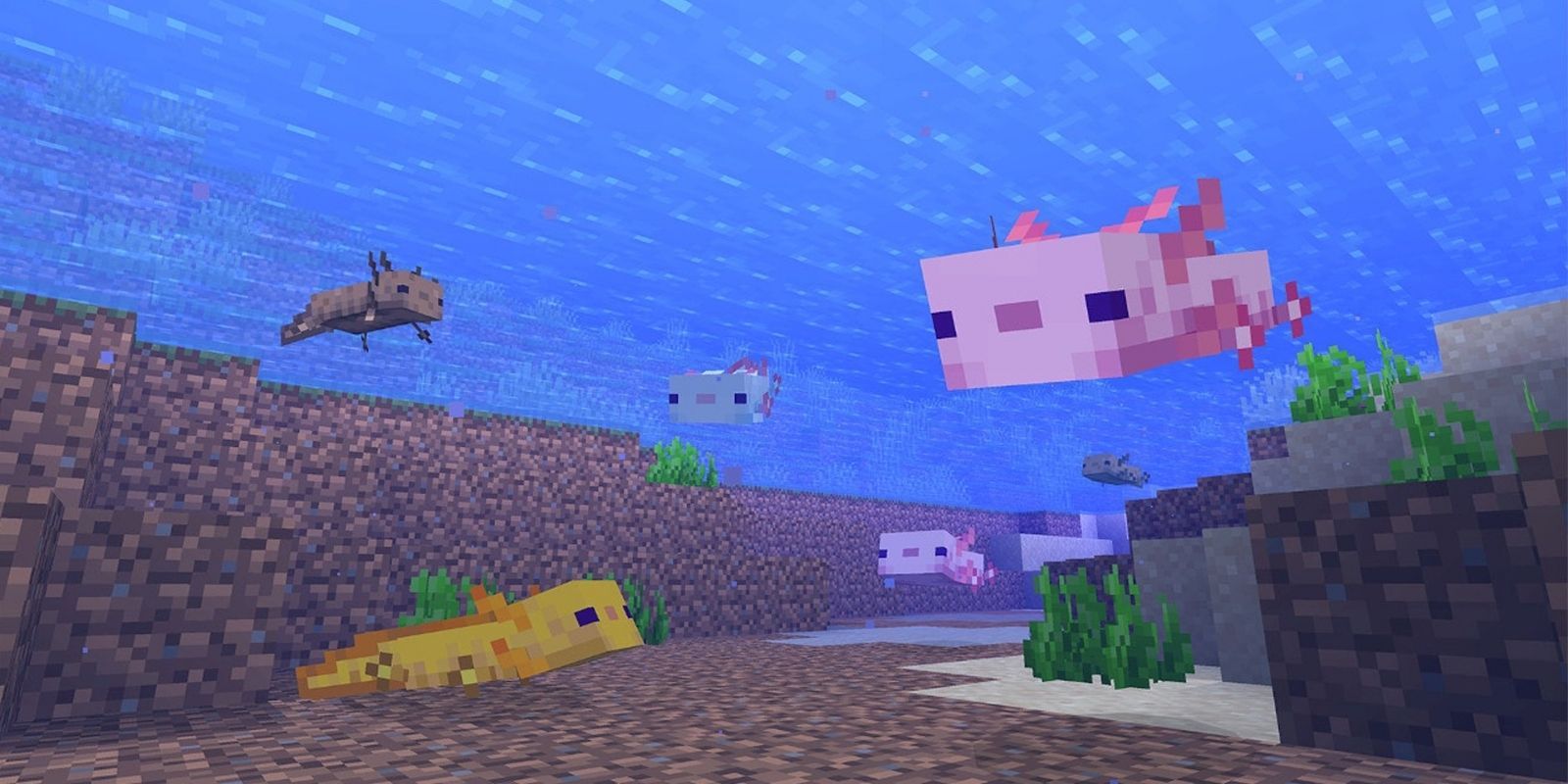 what does axolotl eat minecraft