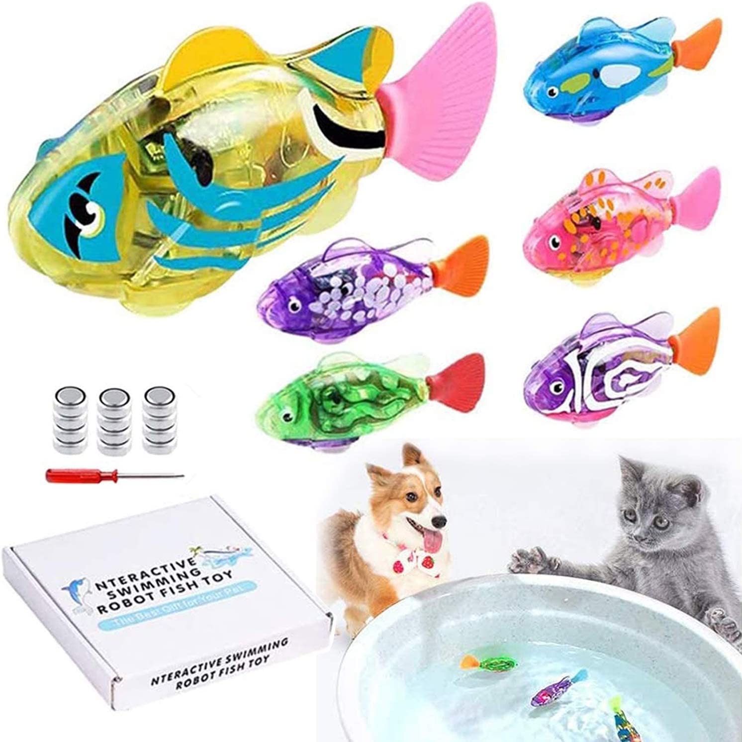 swimming fish for cats