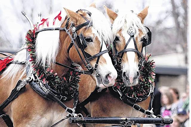 greenville ohio horse parade 2023