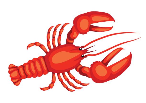 lobster clipart