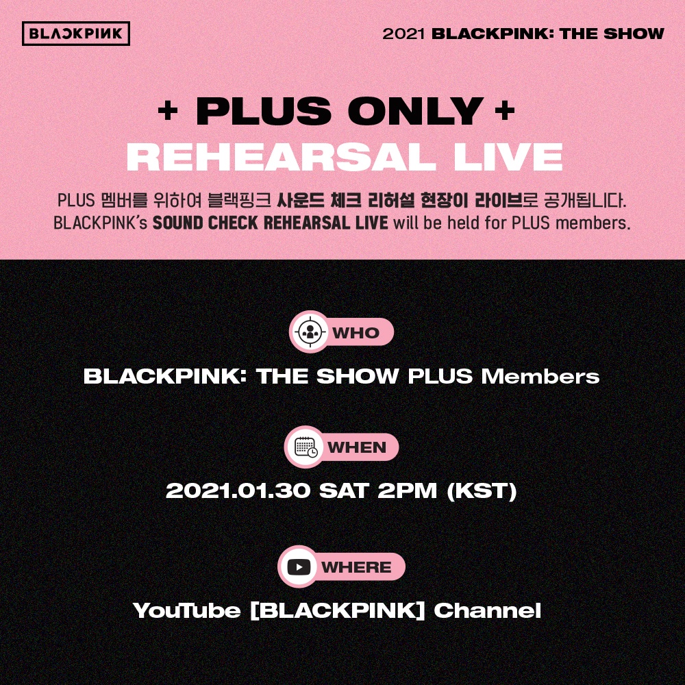 channel plus blackpink