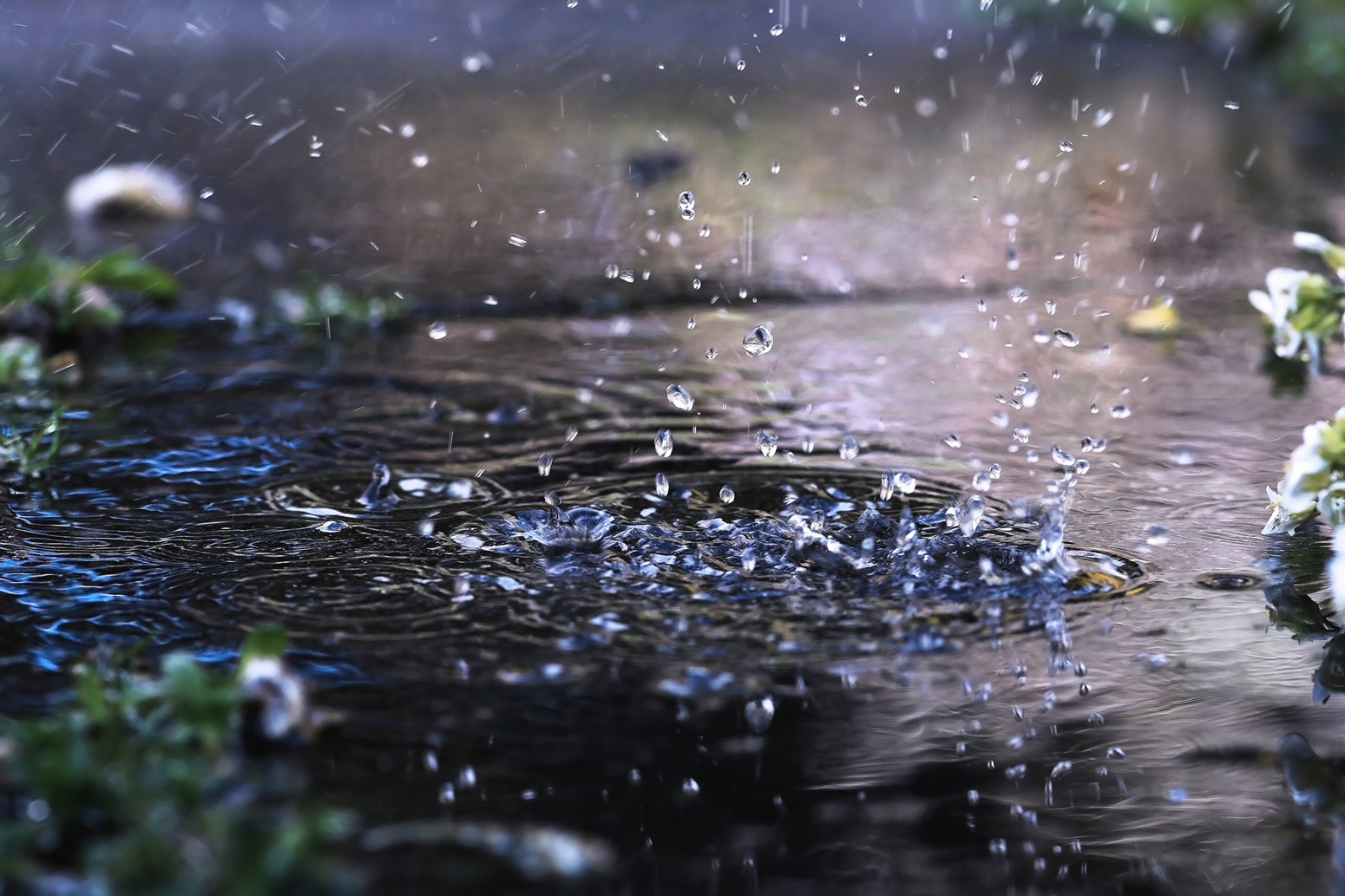rainfall images