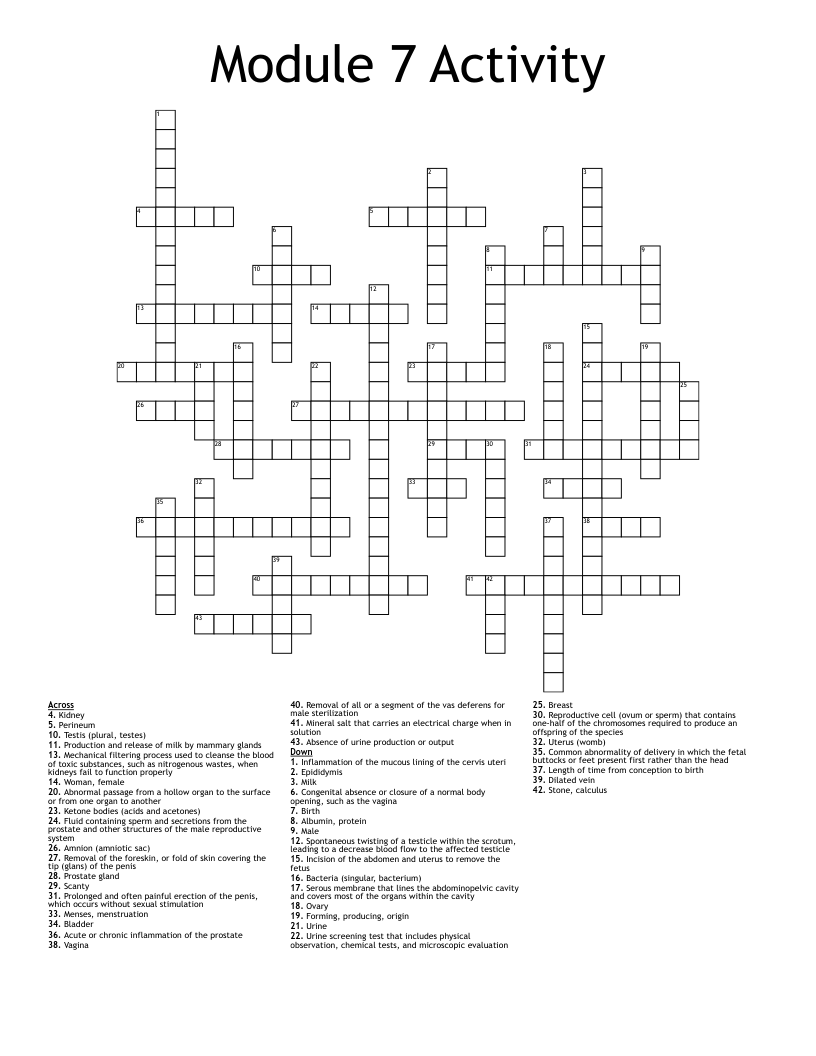 activity 7 crossword puzzle